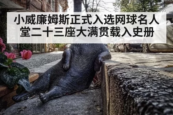 小威廉姆斯正式入选网球名人堂二十三座大满贯载入史册